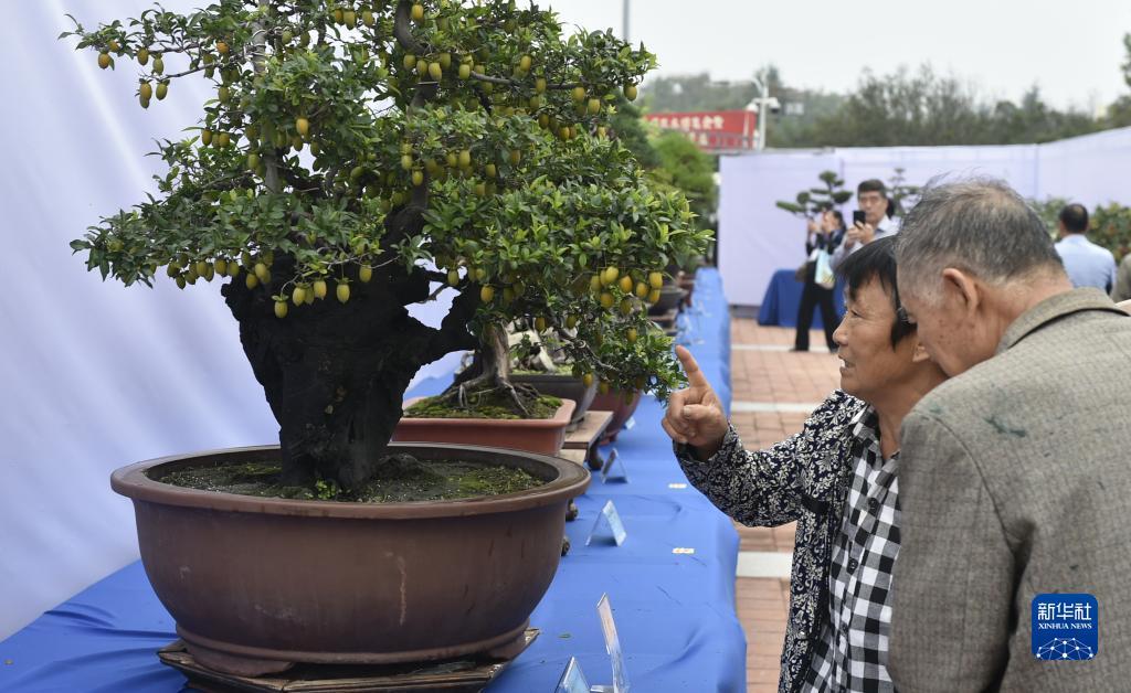 浩博手机版下载